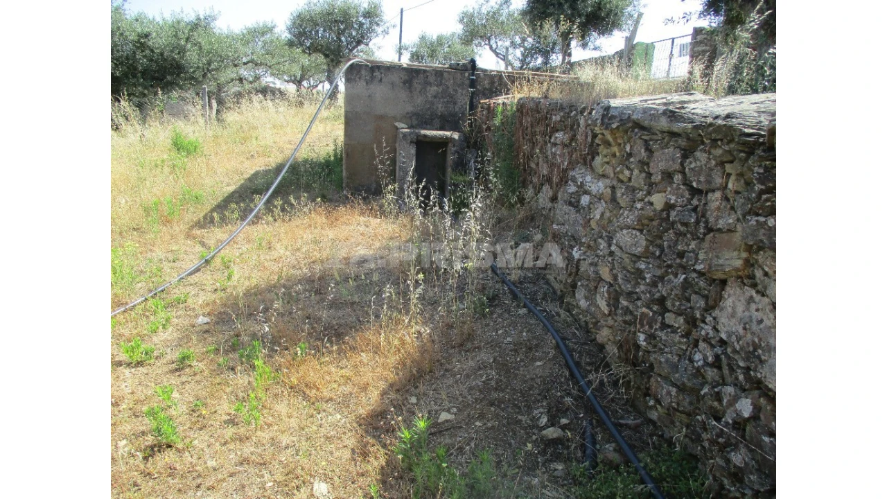 Terreno para Venda em Cebolais de Cima e Retaxo Foto 8