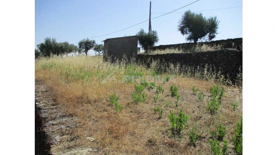 Terreno para Venda em Cebolais de Cima e Retaxo Foto 7