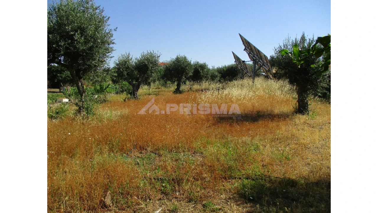Terreno para Venda em Cebolais de Cima e Retaxo Foto 5