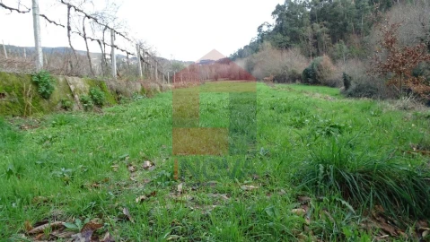 Terreno para Venda em Pico de Regalados, Gondiães e Mós