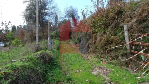 Terreno para Venda em Pico de Regalados, Gondiães e Mós