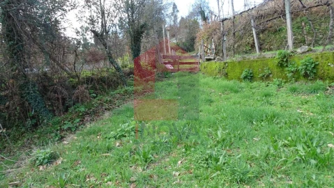 Terreno para Venda em Pico de Regalados, Gondiães e Mós