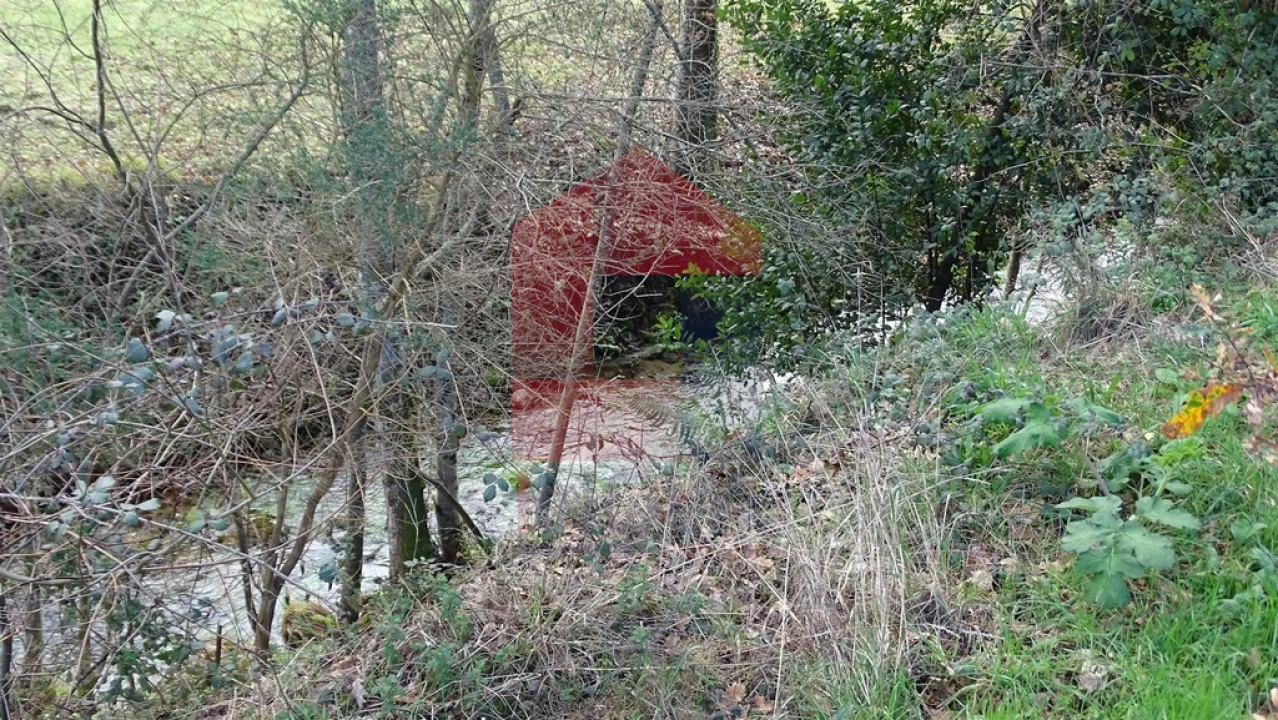 Terreno para Venda em Pico de Regalados, Gondiães e Mós Foto 4