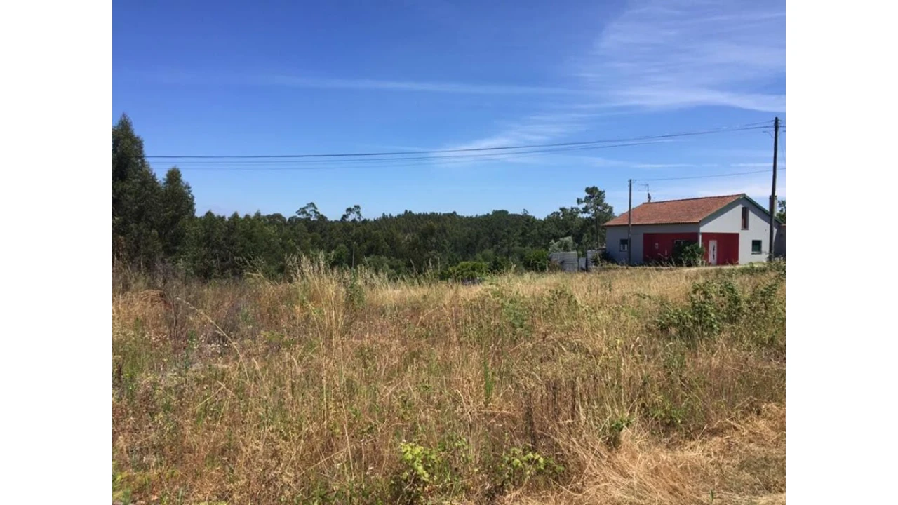 Terreno para Venda em Souto da Carpalhosa e Ortigosa Foto 2