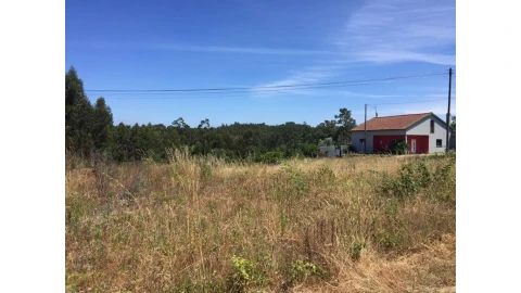 Terreno para Venda em Souto da Carpalhosa e Ortigosa