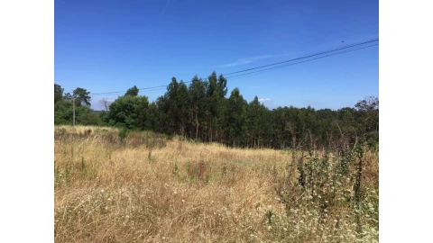 Terreno para Venda em Souto da Carpalhosa e Ortigosa