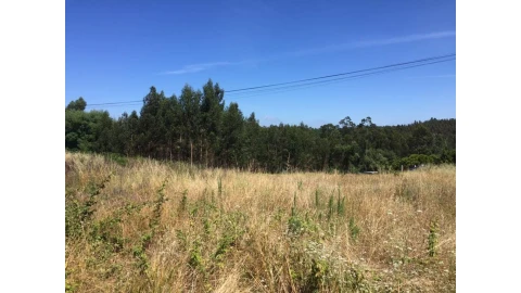 Terreno para Venda em Souto da Carpalhosa e Ortigosa