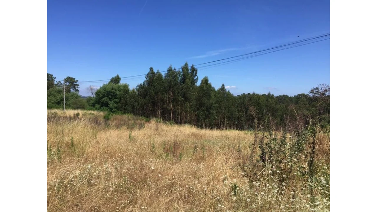 Terreno para Venda em Souto da Carpalhosa e Ortigosa Foto 1