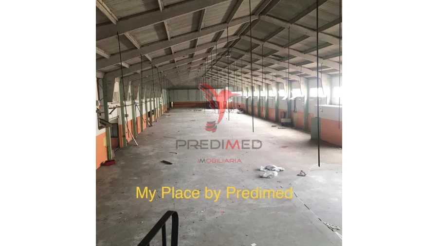 Armazém para Venda em Milheiros Foto 12