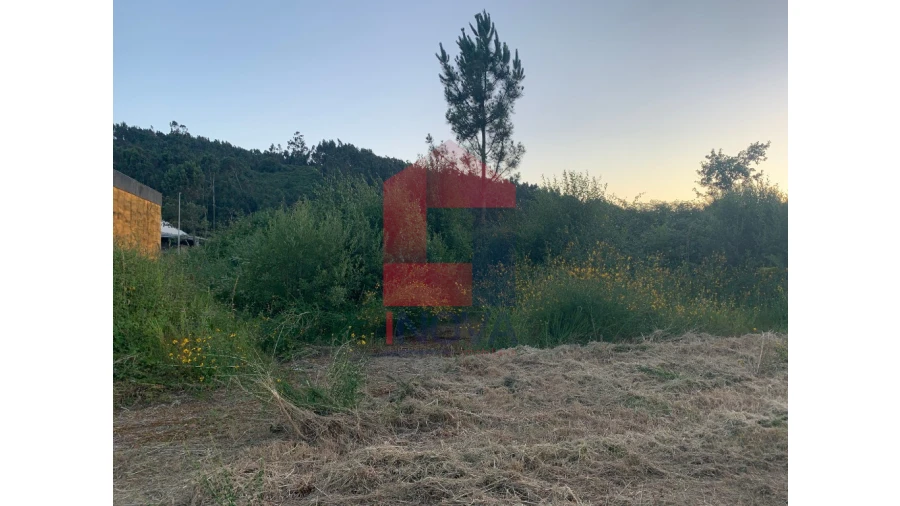 Terreno para Venda em Gême Foto 6