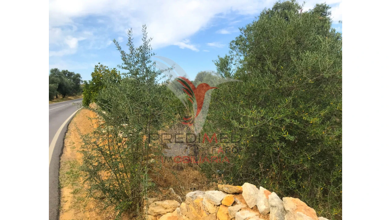 Terreno para Venda em Moncarapacho e Fuseta Foto 4