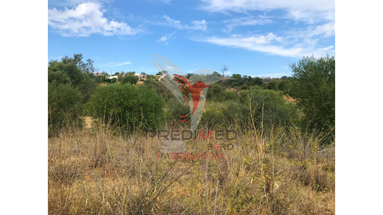 Terreno para Venda em Moncarapacho e Fuseta Foto 3