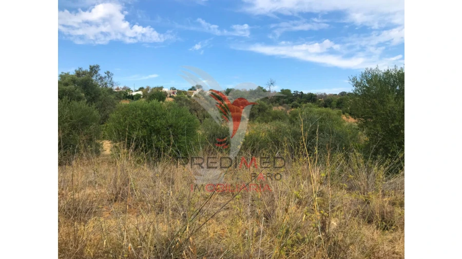 Terreno para Venda em Moncarapacho e Fuseta Foto 3