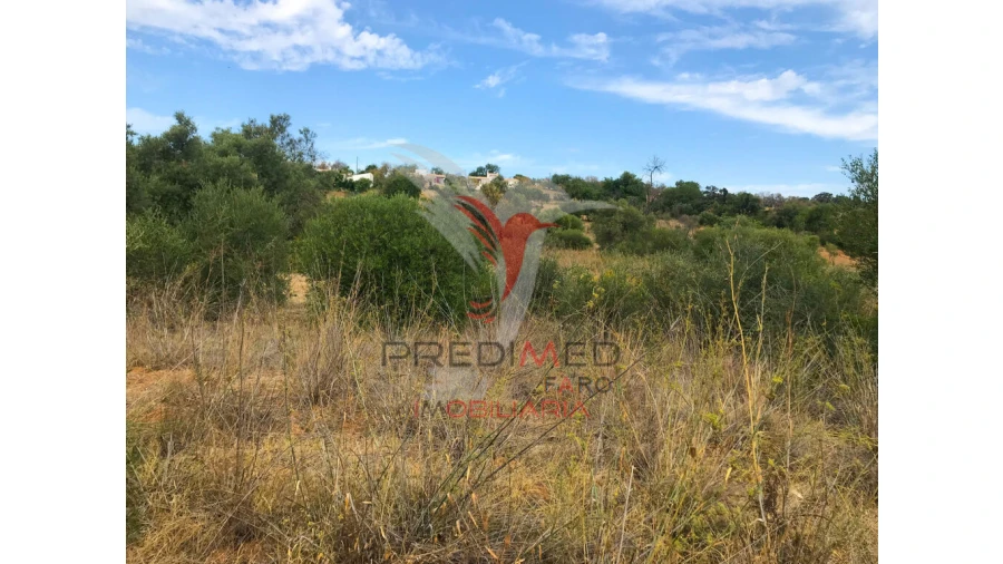 Terreno para Venda em Moncarapacho e Fuseta Foto 2