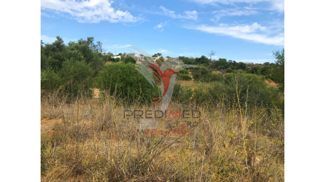 Terreno para Venda em Moncarapacho e Fuseta Foto 2