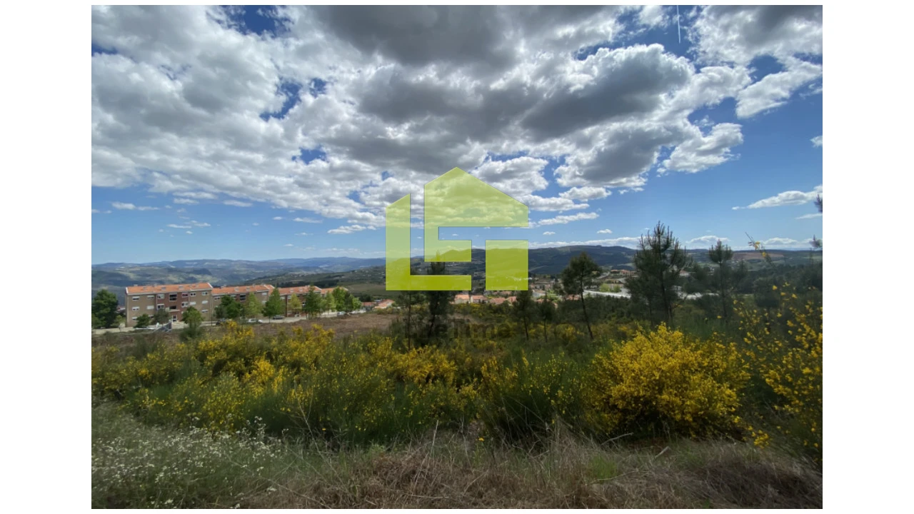 Terreno para Venda em Sabrosa Foto 7