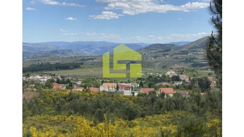 Terreno para Venda em Sabrosa