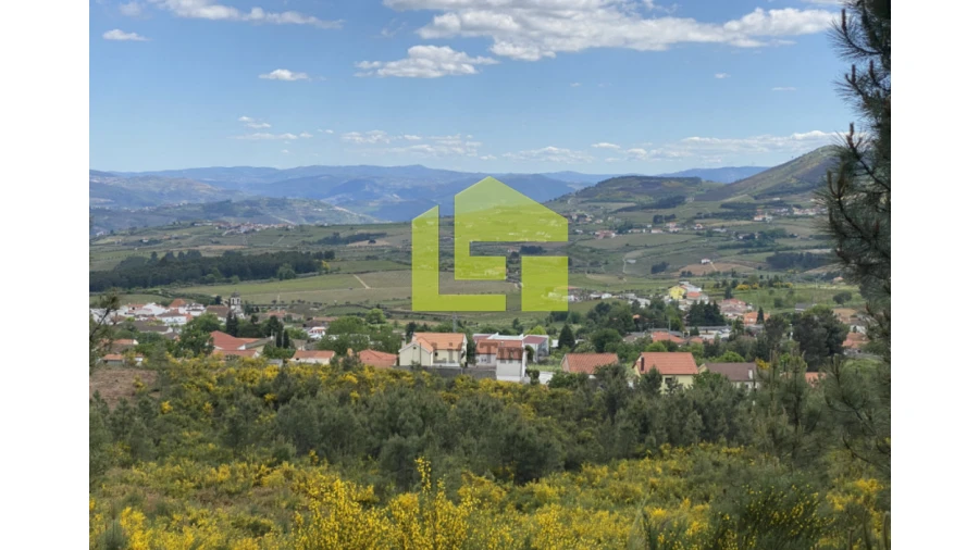 Terreno para Venda em Sabrosa Foto 2