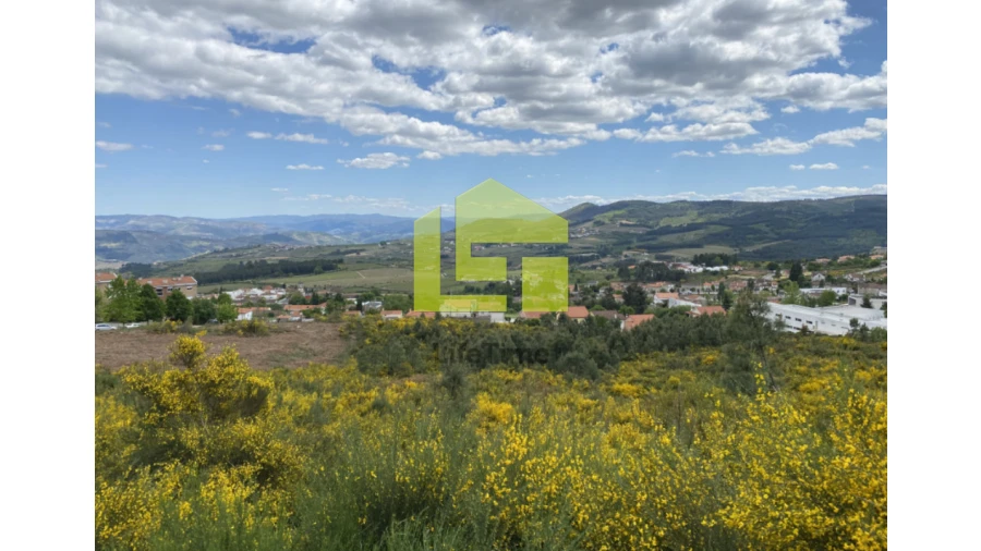 Terreno para Venda em Sabrosa