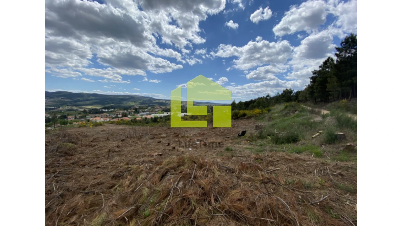 Terreno para Venda em Sabrosa Foto 12