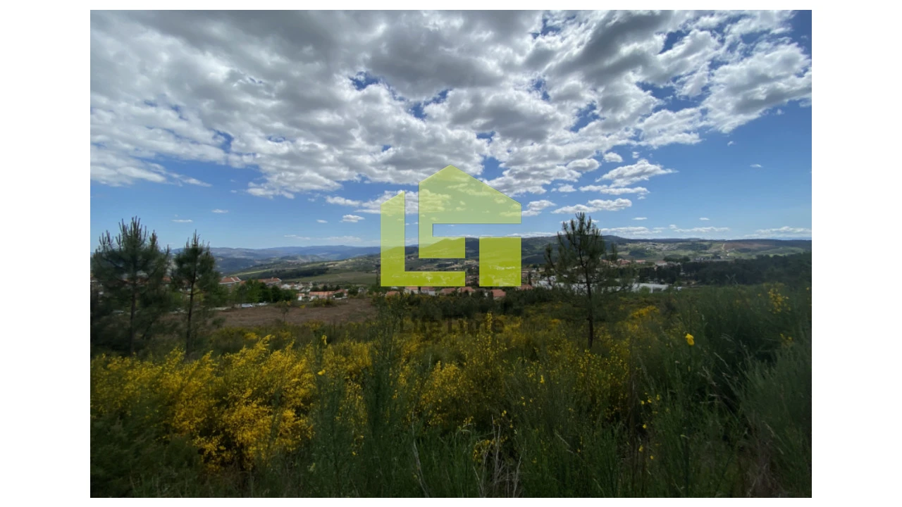 Terreno para Venda em Sabrosa Foto 9