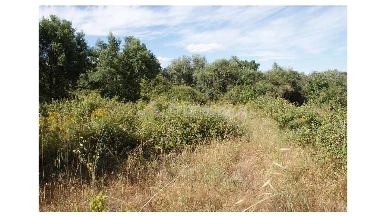 Terreno para Venda em Pedrógão de São Pedro e Bemposta Foto 11