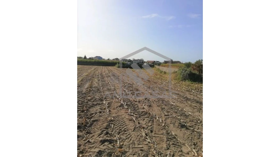 Terreno para Venda em Pardilho Foto 3