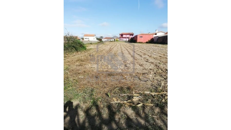 Terreno para Venda em Pardilho Foto 7