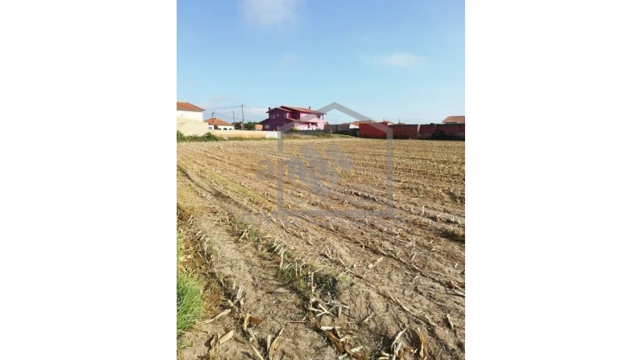 Terreno para Venda em Pardilho Foto 5