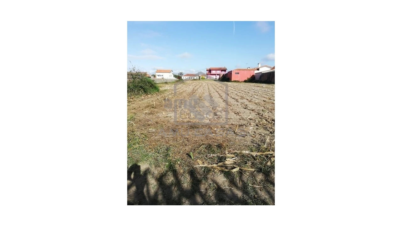 Terreno para Venda em Pardilho Foto 7