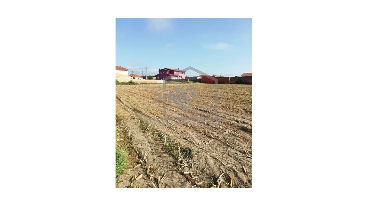 Terreno para Venda em Pardilho Foto 5