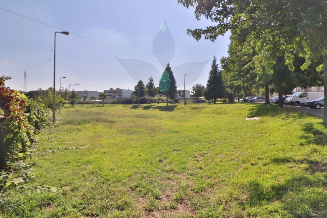 Terreno para Venda em Palmeira Foto 2