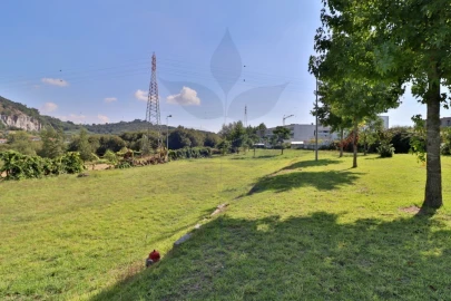 Terreno para Venda em Palmeira