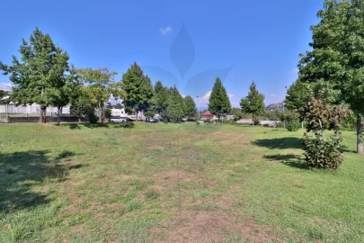 Terreno para Venda em Palmeira