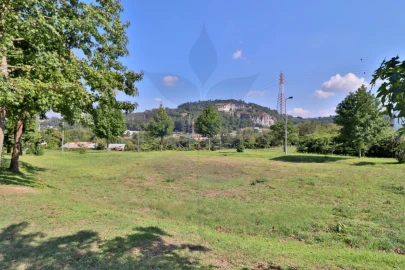 Terreno para Venda em Palmeira