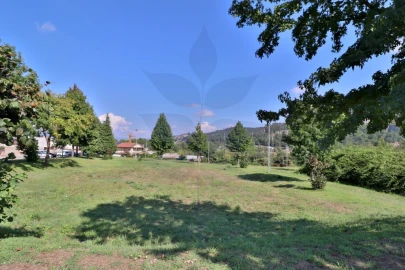 Terreno para Venda em Palmeira