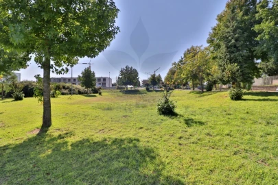 Terreno para Venda em Palmeira