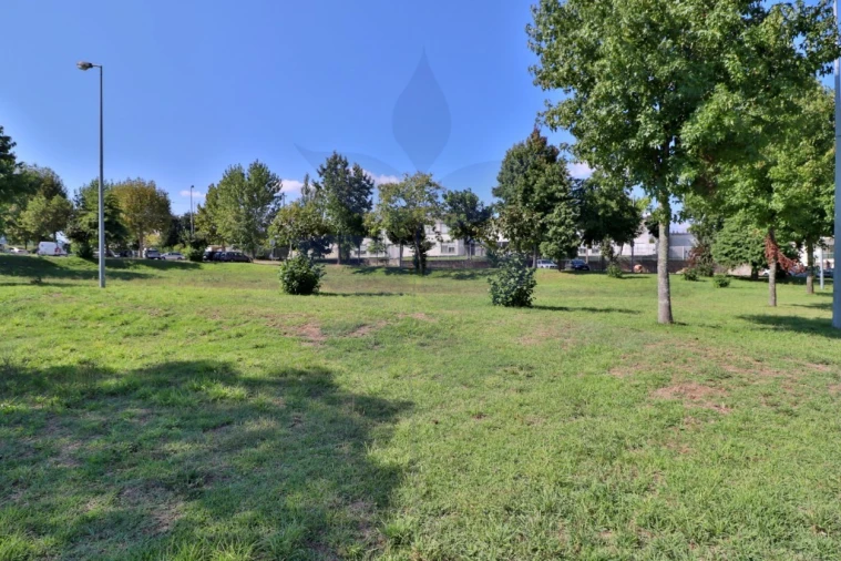 Terreno para Venda em Palmeira Foto 15