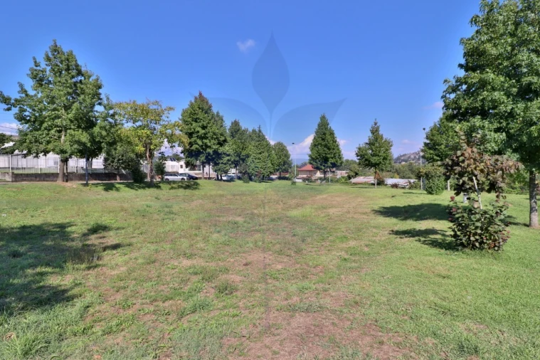 Terreno para Venda em Palmeira Foto 16