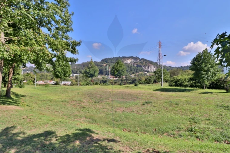 Terreno para Venda em Palmeira Foto 21