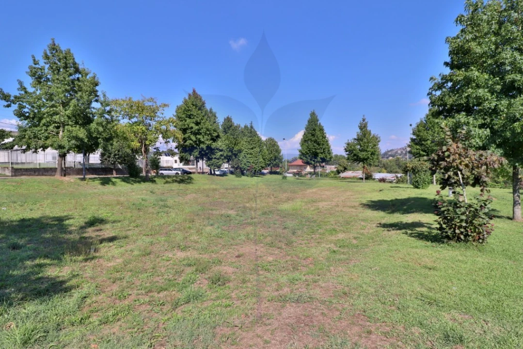 Terreno para Venda em Palmeira Foto 16