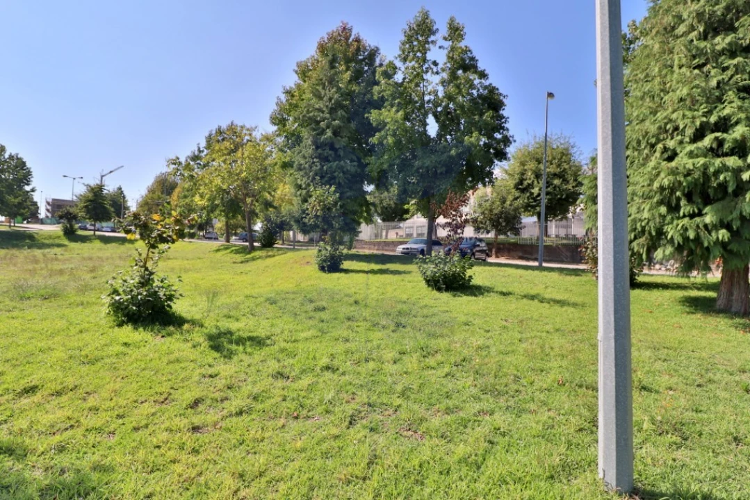 Terreno para Venda em Palmeira Foto 13