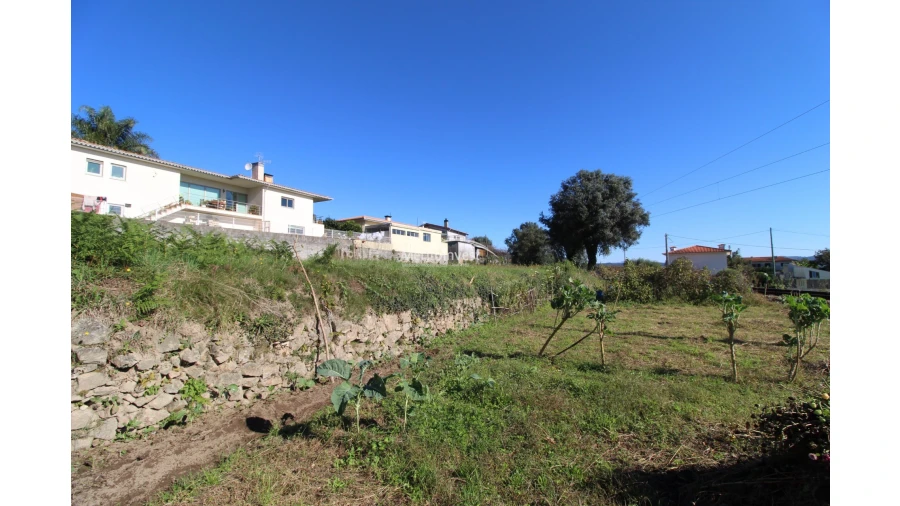 Terreno para Venda em Carapeços Foto 3