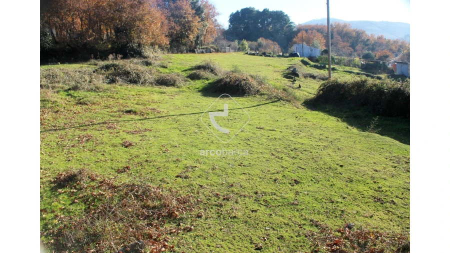 Terreno para Venda em Vascões Foto 13
