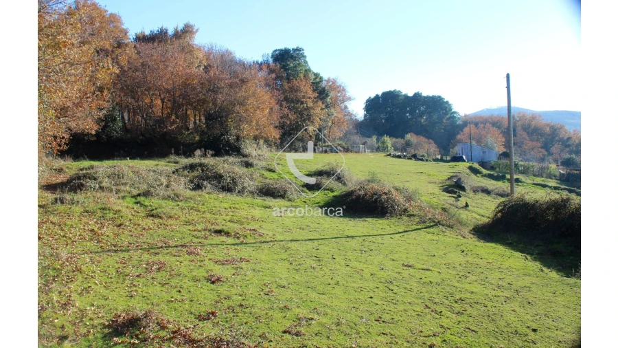 Terreno para Venda em Vascões