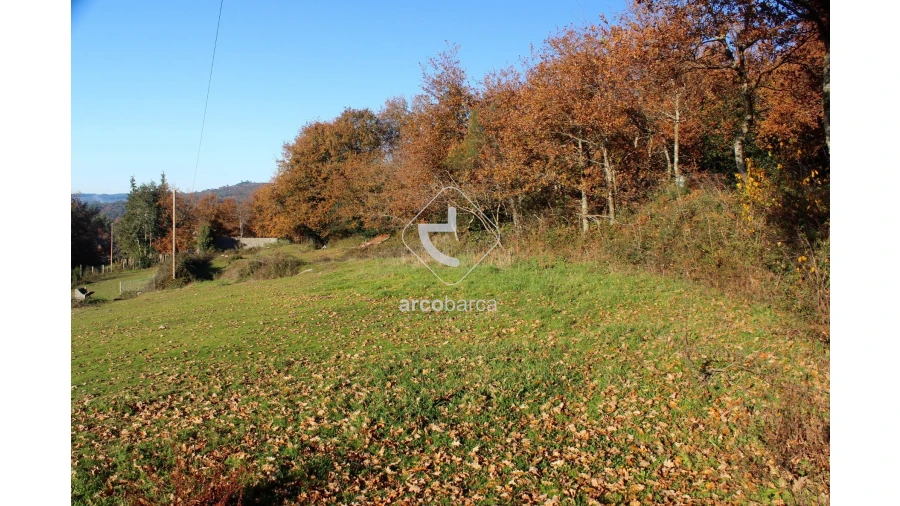Terreno para Venda em Vascões Foto 12