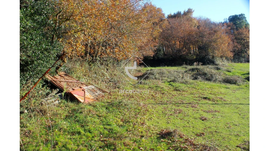 Terreno para Venda em Vascões Foto 15