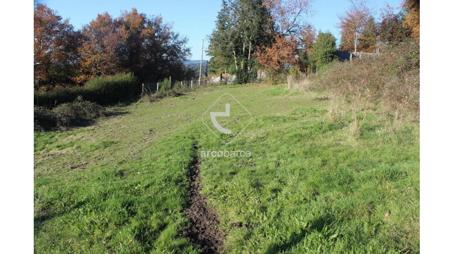 Terreno para Venda em Vascões Foto 14