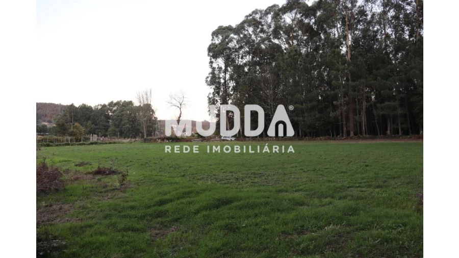 Terreno para Venda em Romariz Foto 3