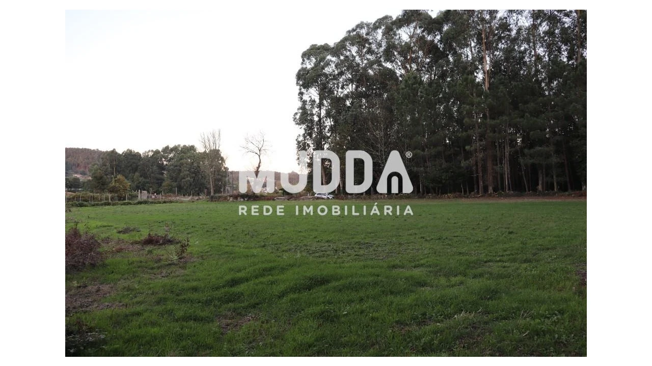 Terreno para Venda em Romariz Foto 3